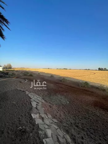مزرعة للبيع في شارع الرئيسي, مدينة كمب الثنيان, منطقة حائل صورة 3
