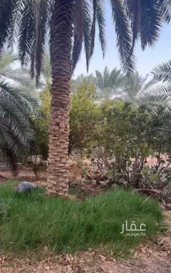 مزرعة للبيع في شارع حرض16, حي الحويه (1), مدينة الحويه (1), المنطقة الشرقية