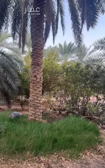 مزرعة للبيع في شارع حرض16, حي الحويه (1), مدينة الحويه (1), المنطقة الشرقية