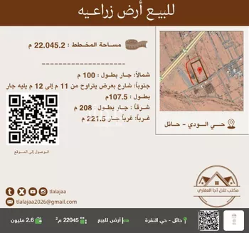 أرض للبيع في شارع بير سالم, حي الودي, مدينة حائل, منطقة حائل