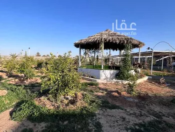 مزرعة للبيع في شارع العريدة, حي العريدة, مدينة العريدة, منطقة حائل صورة 2