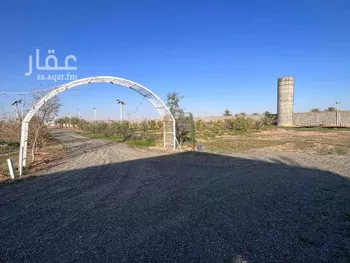 مزرعة للبيع في شارع العريدة, حي العريدة, مدينة العريدة, منطقة حائل صورة 3