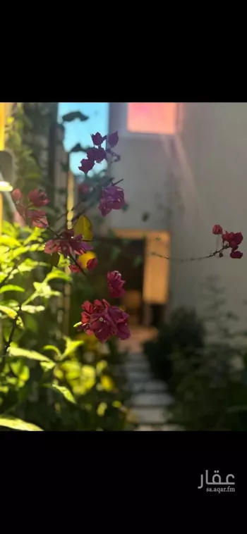 فيلا للبيع في شارع ابن نجا, حي العليا, مدينة الرياض, منطقة الرياض