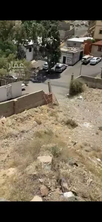 أرض للبيع في شارع عودة, حي عودة, مدينة امارة منطقة مكة المكرمة - الطائف, منطقة مكة المكرمة صورة 5