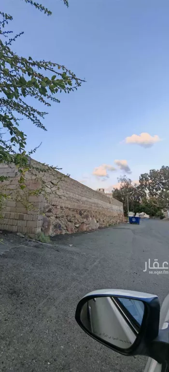 أرض للبيع في شارع عودة, حي عودة, مدينة امارة منطقة مكة المكرمة - الطائف, منطقة مكة المكرمة صورة 4