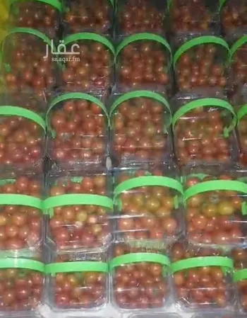 مزرعة للبيع في المسبر ، المزاحمية صورة 3
