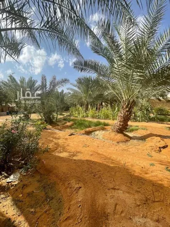 استراحة للبيع في شارع ابو امامة الباهلي, مدينة قريه ديراب, منطقة الرياض صورة 3