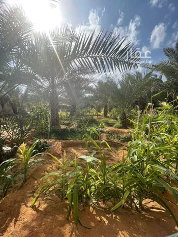 استراحة للبيع في شارع ابو امامة الباهلي, مدينة قريه ديراب, منطقة الرياض