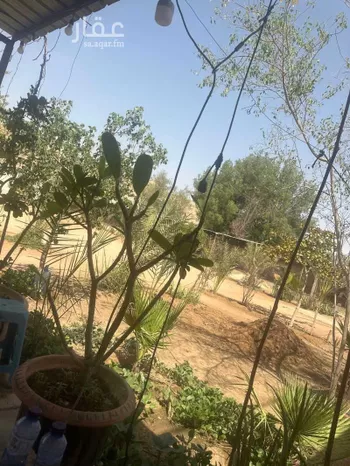 استراحة للبيع في شارع قصور ال مقبل 14 ، حي القرينية ، البديعة ، ضرما
