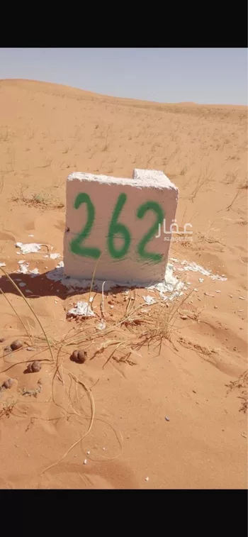 أرض للبيع في مدينة عفرية, منطقة الرياض صورة 5
