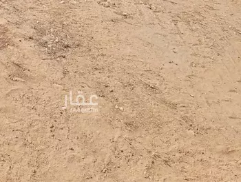 أرض للبيع في شارع الكليبيه, شداد