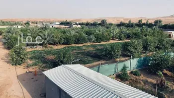 أرض للإيجار في شارع هجرة الاوسط 2559, مدينة هجرة الاوسط, منطقة الرياض صورة 5
