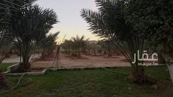 مزرعة للبيع في شارع ثعلبة ابن سعد الخزرجي ، البديعة ، ضرما صورة 4