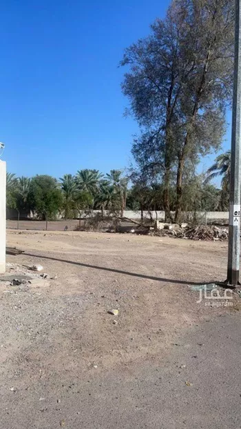 أرض للبيع في شارع صفوان بن قدامه التميمي, حي العيون, مدينة المدينه المنوره, منطقة المدينة المنورة صورة 2
