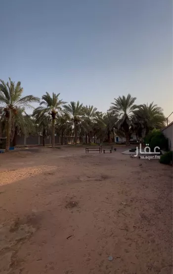 مزرعة للبيع في شارع الراشدية 2, حي الغطغط, مدينة المزاحميه, منطقة الرياض صورة 5