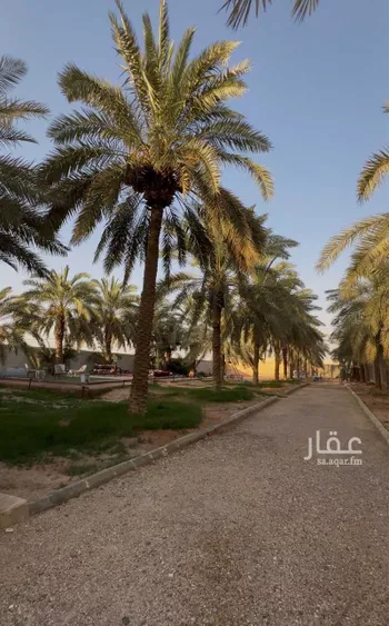 مزرعة للبيع في شارع الراشدية 2, حي الغطغط, مدينة المزاحميه, منطقة الرياض صورة 2