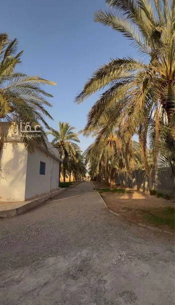 مزرعة للبيع في شارع الراشدية 2, حي الغطغط, مدينة المزاحميه, منطقة الرياض صورة 3