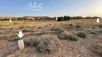 أرض للبيع في حي لبب, مدينة حريملاء, منطقة الرياض صورة 3