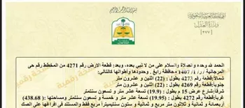 أرض للبيع في شارع حمرة بن ايفع بن ربيب, حي المرجانية, مدينة رابغ, منطقة مكة المكرمة صورة 2