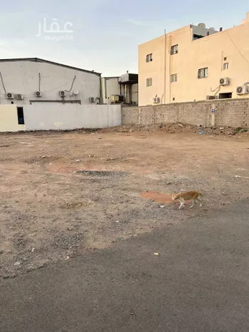 أرض للبيع في شارع عبدالله بن وهب, حي السلام, مدينة المدينه المنوره, منطقة المدينة المنورة صورة 2
