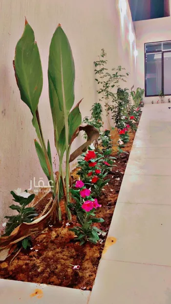 فيلا للإيجار في شارع عبدالحق الحنبلي, حي النرجس, مدينة الرياض, منطقة الرياض صورة 3