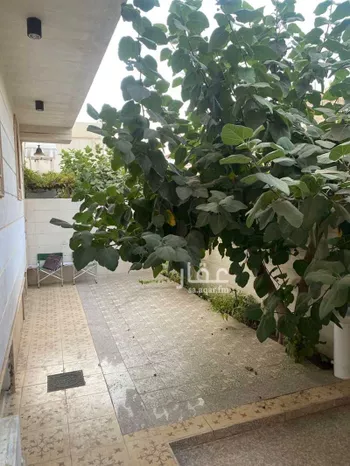 فيلا للإيجار في شارع عبدالمطلب بن هاشم, حي السداد, مدينة امارة منطقة مكة المكرمة - الطائف, منطقة مكة المكرمة صورة 2