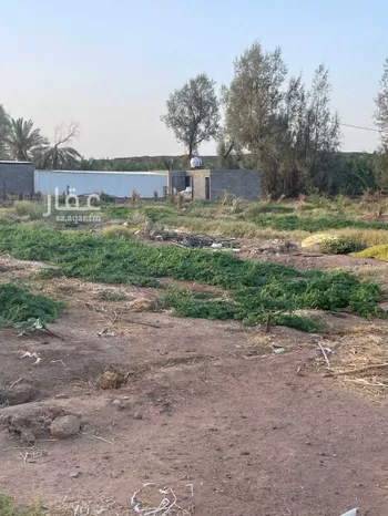 مزرعة للبيع في الثمد ، خيبر صورة 4