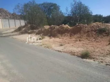 أرض للبيع في الشفا, الطائف صورة 5