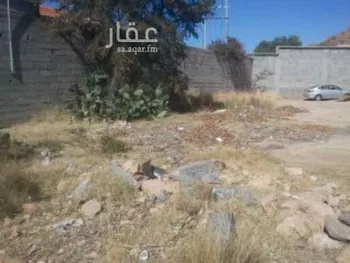 أرض للبيع في الشفا, الطائف صورة 4