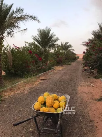 مزرعة للبيع في حي الغرابه ومزارعها, مدينة الغرابه ومزارعها, منطقة الرياض صورة 3