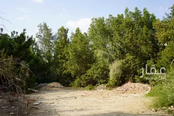 أرض للبيع في شارع الرامى, حي النزهة, مدينة مكه المكرمه, منطقة مكة المكرمة صورة 4