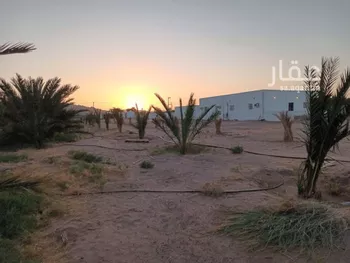 مزرعة للبيع في شارع 1402, حي المندسة, مدينة المدينه المنوره, منطقة المدينة المنورة صورة 5