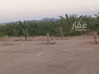مزرعة للبيع في شارع 1402, حي المندسة, مدينة المدينه المنوره, منطقة المدينة المنورة صورة 2