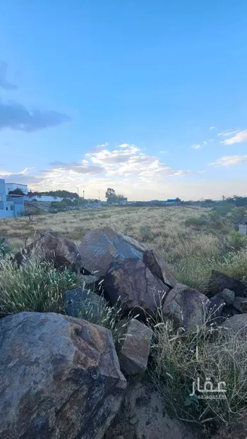 مزرعة للبيع في شارع راس القلعة, حي النعمان, مدينة ابها, منطقة عسير صورة 3