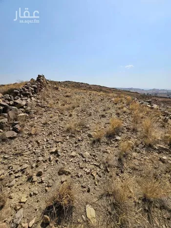 أرض للبيع في شارع الاتفاق, حي المطار, مدينة ابها, منطقة عسير صورة 3