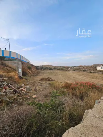 مزرعة للبيع في شارع مصاولي 3125, مدينة مزمه, منطقة عسير صورة 3