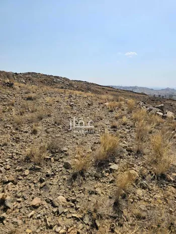 أرض للبيع في شارع الاتفاق, حي المطار, مدينة ابها, منطقة عسير صورة 4