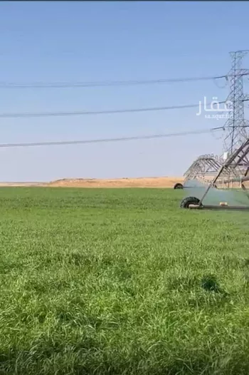 أرض للبيع في شارع 1111, حي ساق, مدينة ساق, منطقة القصيم صورة 2