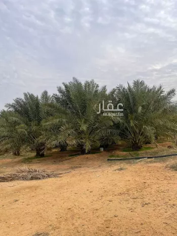 أرض للبيع في شارع 1111, حي ساق, مدينة ساق, منطقة القصيم صورة 3