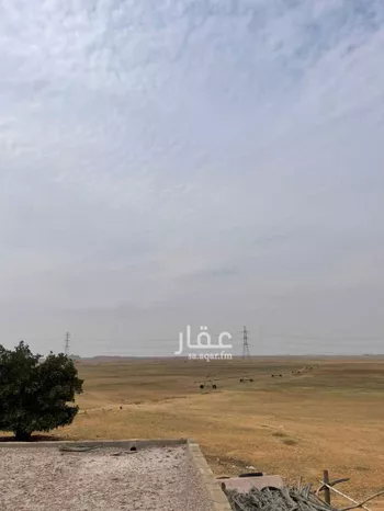 أرض للبيع في شارع 1111, حي ساق, مدينة ساق, منطقة القصيم صورة 5
