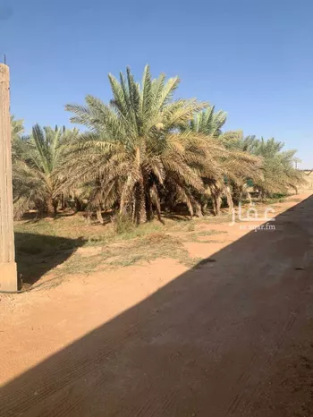 أرض للبيع في شارع الربيع 2, حي الربيع, مدينة ضرما, منطقة الرياض صورة 5