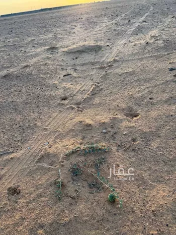 أرض للإيجار في شارع الدقم, حي الجديده, مدينة المزاحمية - الجديده, منطقة الرياض صورة 2
