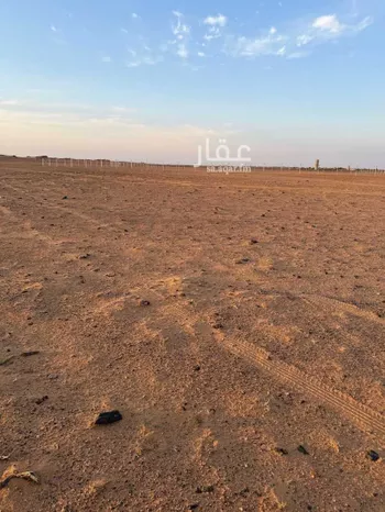 أرض للإيجار في شارع الدقم, حي الجديده, مدينة المزاحمية - الجديده, منطقة الرياض صورة 4