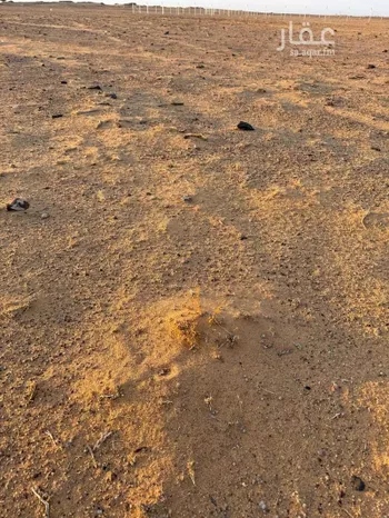 أرض للإيجار في شارع الدقم, حي الجديده, مدينة المزاحمية - الجديده, منطقة الرياض صورة 5
