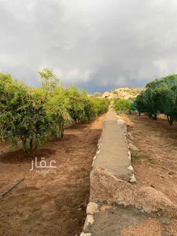 استراحة للإيجار في شارع تنقد , حي تنقد, مدينة تنقد, منطقة مكة المكرمة صورة 2