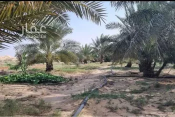 مزرعة للبيع في شارع بقعاء الفضيات , حي الغضيات, مدينة الغضيات, منطقة حائل صورة 2