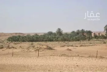 مزرعة للبيع في شارع بقعاء الفضيات , حي الغضيات, مدينة الغضيات, منطقة حائل صورة 4