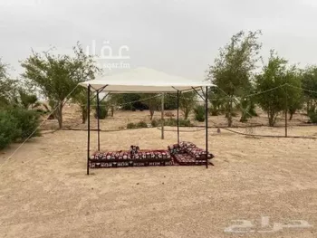مزرعة للبيع في شارع طريق النعيريه , حي قصوان, مدينة قصوان, المنطقة الشرقية صورة 3