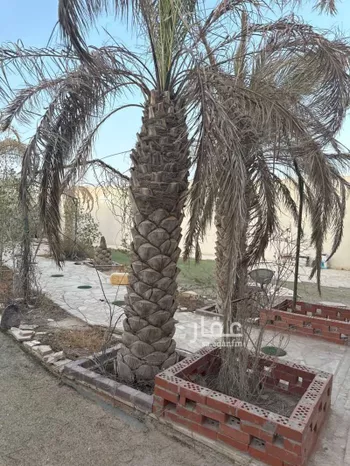 استراحة للإيجار في شارع رماح ، حي الزاهر ، الرياض ، منطقة الرياض صورة 4