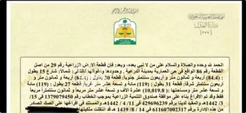 أرض للإيجار في شارع ثابت بن يسار, حي الفيصلية, مدينة امارة منطقة الرياض - الدرعيه, منطقة الرياض صورة 3